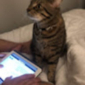 Meet your Posher, Sophie